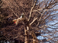 201201_0057.jpg