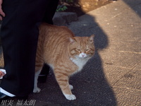 201202_0004.jpg