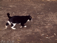 201202_0008.jpg