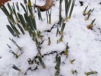 201202_0052.jpg