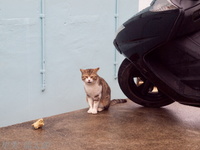 201203_0006.jpg