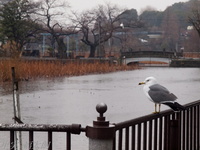 201203_0020.jpg