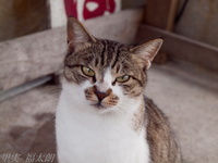 201203_0037.jpg