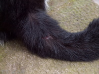 201203_0064.jpg