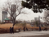 201203_0094.jpg