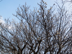 201203_0097.jpg