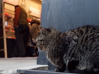 201203_0167.jpg