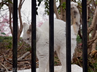 201203_0186.jpg