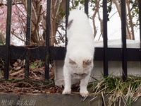 201203_0187.jpg