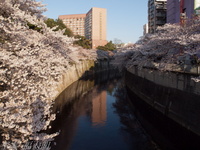 201204_022.jpg