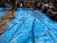 201204_046.jpg