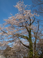 201204_053.jpg