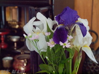 201204_082.jpg