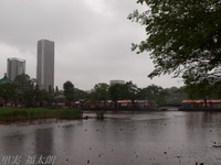 201204_089.jpg