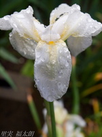 201205_004.jpg
