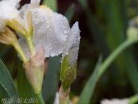 201205_005.jpg