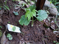 201205_013.jpg