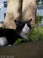 201205_019.jpg