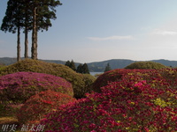 201205_049.jpg