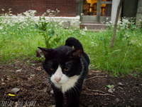 201205_074.jpg