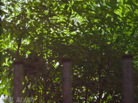 201205_107.jpg