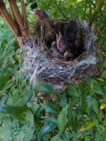 201206_013.jpg