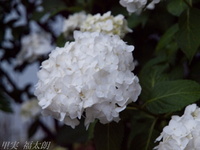 201206_047.jpg