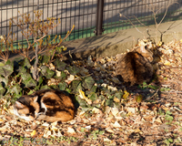2012~_1134226.jpg