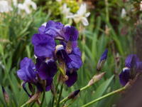 640-2011040025.jpg