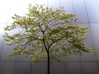 640-2011040030.jpg