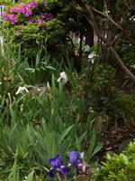 640-2011040050.jpg