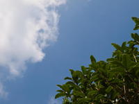 640-2011070006.jpg