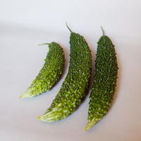 640-2011070027.jpg
