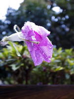 640-2011080032.jpg