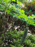 6401109-0008.jpg