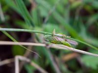6401110-0017.jpg