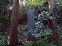 6401110-0063.jpg