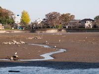 6401110-0065.jpg