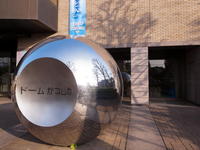 6401111-0013.jpg