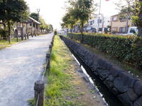 6401111-0017.jpg