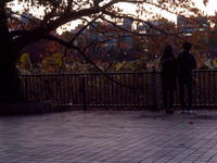 6401111-0088.jpg