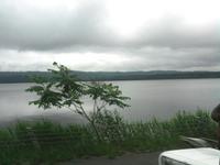 SNC00472b.jpg